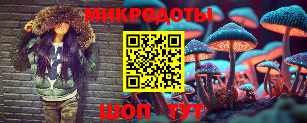 Кирово-Чепецк  Псилоцибиновые грибы мицелий  Вход с VPN 